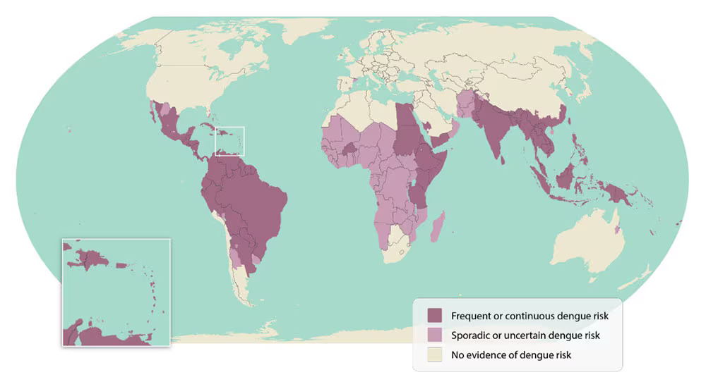 Dengue-World-Map Areas at Risk for Dengue