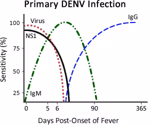 PrimaryDENV_v3 Primary DENV Infection